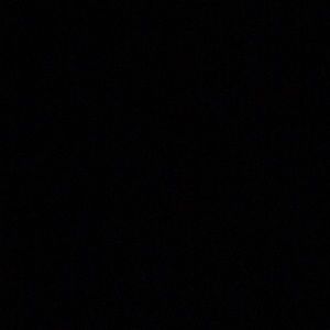 Meet your Posher, Audrey